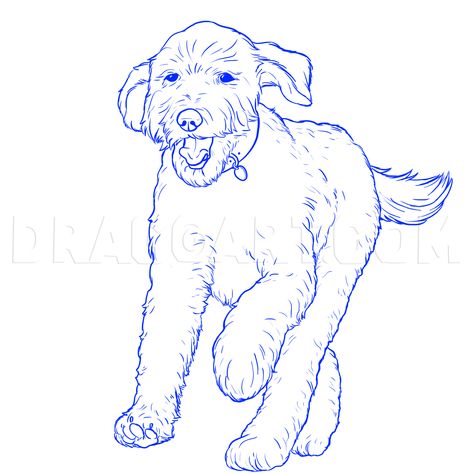 How To Draw A Labradoodle, Labradoodle Drawing, Labradoodle Art, Running Drawing, Portraits Painting, Dog Design Art, Dog Portraits Painting, Paint Your Pet, Draw Animals