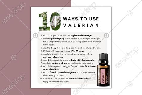 Valerian Essential Oil Blends, Valerian Diffuser Blends, Valor Oil Blends, Anthropology Oil Blend, Valerian Essential Oil, Valor Essential Oil Benefits, Benefits Of Thieves Essential Oil, Sleeping Essential Oil Blends, Oils For Sleep