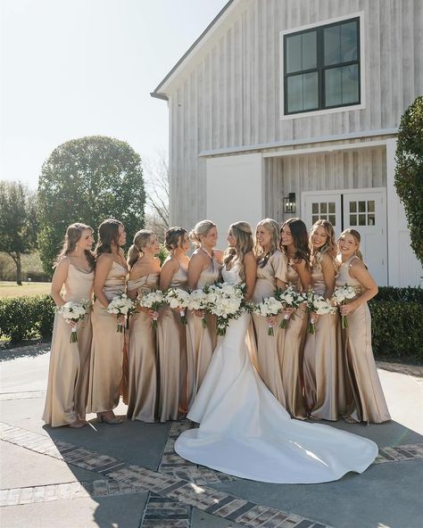 Champagne Metallic Bridesmaid Dresses, Brides Maids Dresses Cream, Wedding And Bridesmaid Dresses, Wedding Colors Gold Champagne, Tan Wedding Bridesmaid Dresses, Gold Bridal Party Dresses, Taupe Wedding Colors Colour Schemes, Wedding Dress And Bridesmaid Dress, March Bridesmaid Dresses Color Schemes