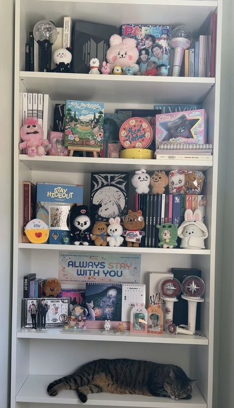 Kpop Room Inspo Skz, Kpop Shelf Ideas, Kpop Shelf, Anime Bedroom Ideas, Kawaii Room Ideas, Room Maker, Outside Room, Cute Diy Room Decor, Dream Apartment Decor