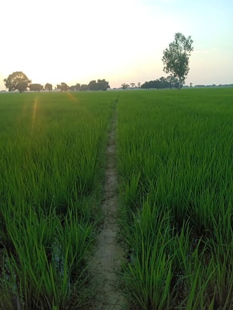 Village natural Village Vibes, Bike Couple, Village Photography, Sky Aesthetic, Country Roads, Bike, Road, Photography, Quick Saves