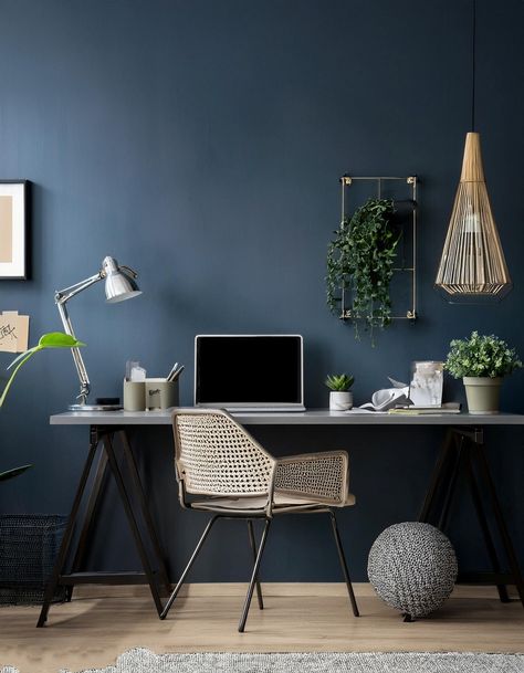 Dark Painted Wall Dark Blue Office Walls, Blue Study Room, Dark Blue Study, Dark Blue Home Office, Study Room Aesthetic, Dark Blue Office, Dark Painted Walls, Blue Study, Blue Home Office