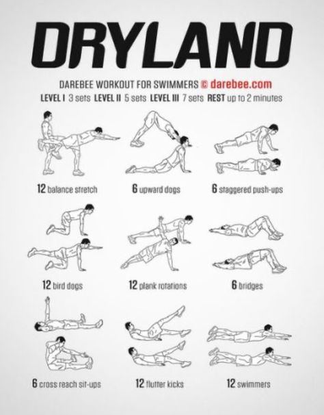 Swimmers Workout Dryland, Dry Land Swim Workouts, Dryland Workout, Workouts For Swimmers, Swimming Drills, Triathlon Swimming, Strength Conditioning By Body Part, Swimming Training, Swim Practice