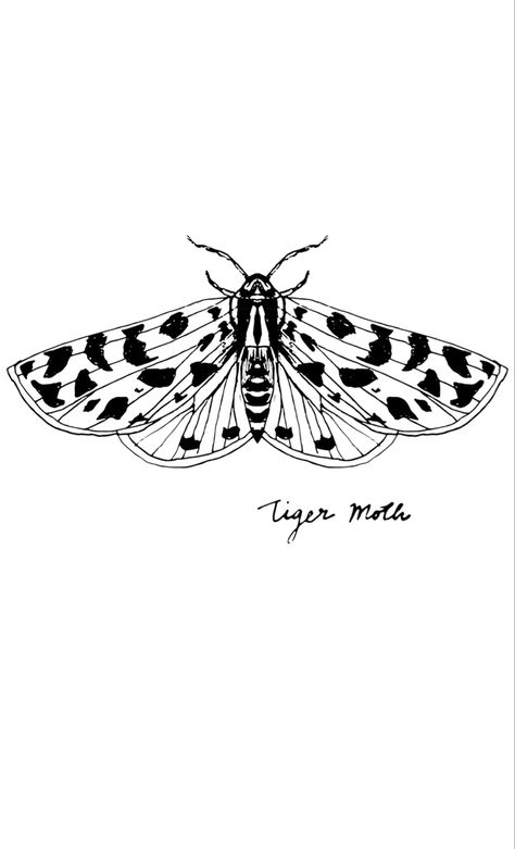 Tiger Moth Tattoo, Moth Drawing, Tiger Moth, Moth Tattoo, Needle Punch, Painting Illustration, Moth, Bugs, Original Paintings