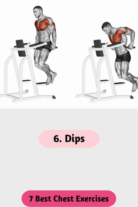 Chest Exercise Chest Dips Workout, Parallel Bars Workout, Dip Bar Workout, Gym Chest Workout, Best Chest Exercises, Shoulder Workout Routine, Tuesday Workout, Dip Workout, Andrew Huberman