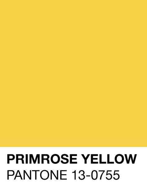 Primrose Yellow Pantone Spring/Summer S/S 2017 Painting Moodboard, Colour Names, Pantone 2017, Painting Corner, Yellow Pantone, Primrose Yellow, Colour Psychology, Color Boards, Color Me Beautiful