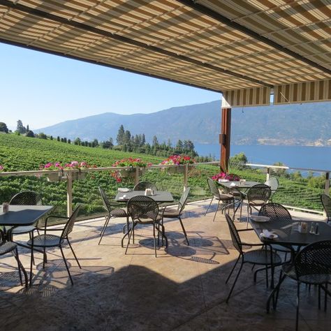 Grapevine Restaurant and Patio at Gray Monk Estate Winery Winery Patio, Napa Winery, Napa Wineries, Okanagan Valley, Great Restaurants, Corporate Design, The Expanse, Grape Vines, Pergola