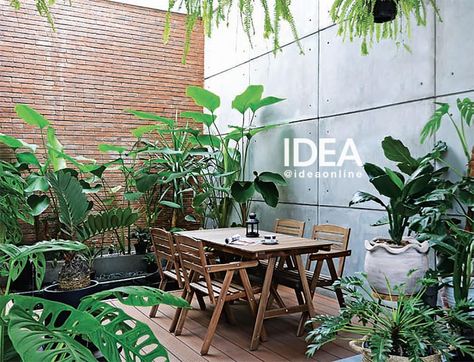 IDEA Lovers, konsep URBAN JUNGLE tengah jadi favorit pemilik hunian. Bukan hanya membuat rumah terihat asri, tapi rumah pun terasa lebih… Terrace Decor, Small Patio Garden, Living Room Decor Colors, Balcony Plants, Small Patio, Small House Plans, Mini Garden, Urban Jungle, Patio Garden