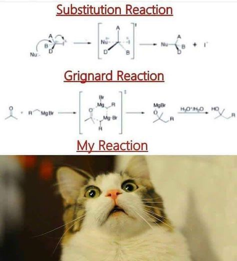 24 Dank Memes For The Science Lovers - Memebase - Funny Memes Exams Memes, Nerdy Jokes, Nerdy Humor, Exams Funny, Nerd Jokes, Chemistry Jokes, Exam Quotes Funny, School Quotes Funny, Nerd Humor