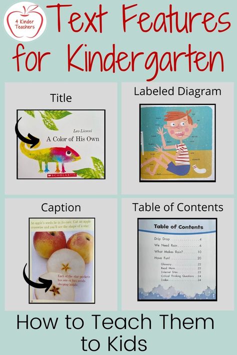 Text features for Kindergarten with pictures of different text features like title, labeled diagram, caption, and table of contents. Text Features Anchor Chart Kindergarten, Informational Text Kindergarten, Text Features 1st Grade, Nonfiction Text Features First Grade, Non Fiction Text Features Anchor Chart, Text Features Anchor Chart 1st Grade, Text Features First Grade, Non Fiction Text Features, Nonfiction Text Features Activities