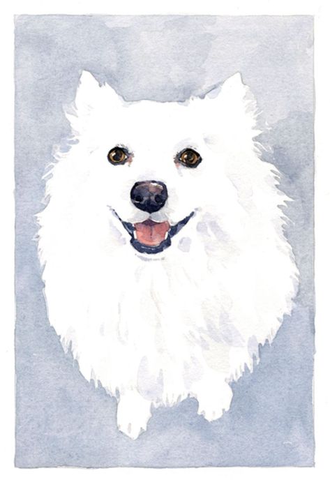 Dog Watercolor Painting, Portrait Watercolor, 강아지 그림, White Dog, Watercolor Dog, Dog Illustration, Arte Animal, Watercolor Inspiration, Dog Drawing