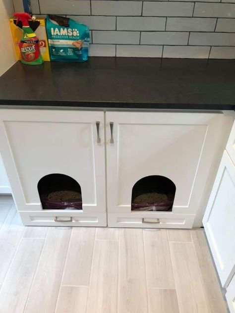 Laundry And Cat Room Ideas, Laundry Room Ideas Cat Litter, Small Laundry Room With Cat Area, Pet Cabinet Ideas, Cat Box Laundry Room Ideas, Laundry Room With Kitty Litter, Small Laundry Room Ideas With Cat Litter, Cat Litter Box And Food Station, Cat Box Laundry Room