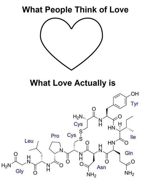 The chemistry of love Reaction Quotes, Amor Real, Chemistry Jokes, Teaching Chemistry, Science Geek, Science Nerd, Love Anniversary Quotes, Science Jokes, Love Actually