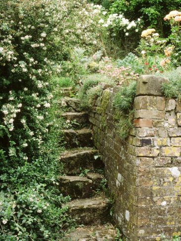 Stone Steps, Beside Old Brick Wall Stone Walls Garden, Old Brick Wall, Stone Steps, Sloped Garden, Brick Exterior House, Have Inspiration, Old Bricks, Wall Garden, Old Stone