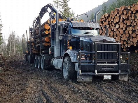 Hunting Truck, Truck Mechanic, Logging Equipment, Truck Transport, Forestry Equipment, Large Truck, Tactical Gear Loadout, Antique Tractors, Kenworth Trucks