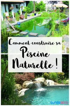 Comment construire sa piscine naturelle ! Vous avez toujours voulu avoir un bassin naturel chez vous ? Un étang de nage ? Notre article vous dit tout sur la construction d'une piscine naturelle chez vous. Old Window Decor, Stock Pools, Outside Movie, Swimming Pool Pond, Pool Shapes, Walkways Paths, Natural Swimming Pools, Natural Swimming Pool, Backyard Lighting