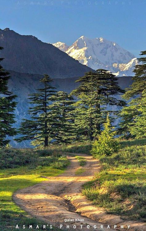 Hindu Kush Mountains, Chitral Valley, Hindu Kush, Amazing Sunsets, Winter Beauty, Mountain Range, Sunset Views, Beautiful Tree, Location History