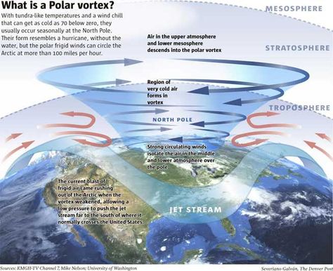 polar vortex 2014 | Dangerous polar air moves across U.S. - The Denver Post Polar Covalent Bonds, Polar Region Animals, Arctic Ocean Map, Polar Bear Climate Crisis, Wind Chill, Polar Vortex, Meteorology, Ice Age, Denver