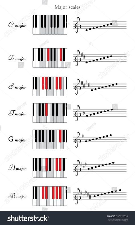 Piano Key Signatures, D Major Scale Piano, Piano Major Scales, C Major Scale Piano, Music Scales, C Major Scale, Ukulele Songs Beginner, Songwriting Inspiration, Music Basics