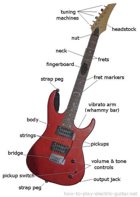 A solid body electric guitar with two humbucker pickups and a vibrato system Electric Guitar Lessons, Free Guitar Lessons, Guitar Cord, Learn Guitar Chords, Electric Guitar Parts, Online Guitar Lessons, Guitar Tabs Songs, Guitar Cable, Guitar Photography