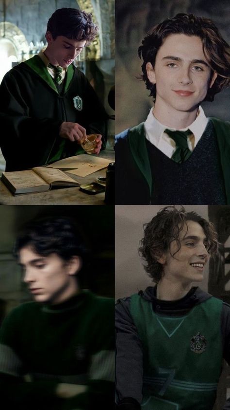 Regulus Acturus Black, Stile Harry Potter, You're Perfect, Buku Harry Potter, Slytherin Harry Potter, Hogwarts Aesthetic, Timmy T, Harry Potter Headcannons, Regulus Black