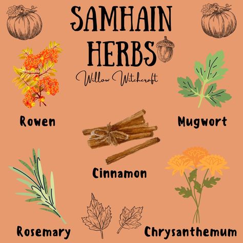 Herbs For Samhain, November Witchcraft, September Witchcraft, Samhain Herbs, Samhain Spell Jar, Wiccan Samhain, Samhain Witchcraft, Samhain Jar, Autumn Witchcraft