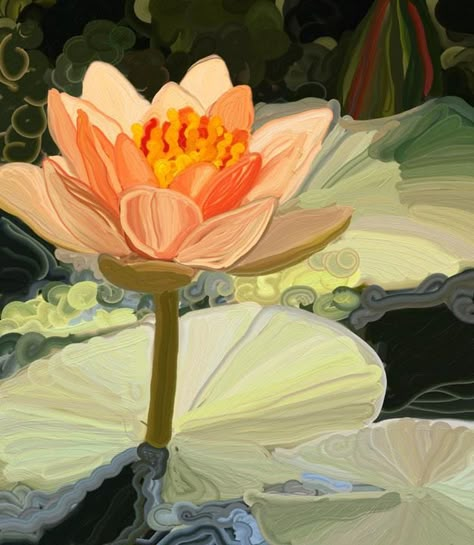 Peach Lily Giclee Peach Lily, Water Lilies Painting, Golden Lotus, Lotus Flower Art, Lotus Painting, A Level Art Sketchbook, Peach And Lily, School Murals, Lotus Art