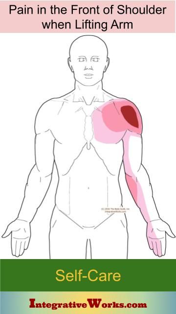 Front of shoulder pain when raising arm | Integrative Works Arm Muscle Pain, Shoulder Pain Remedies, Sore Shoulder, Shoulder Impingement, Tight Shoulders, Shoulder Pain Relief, Upper Back Pain, Neck And Shoulder Pain, Arm Muscles