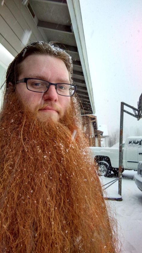 Blonde Beard, Beard Rules, Ginger Hair Men, Brown Beard, Long Beard Styles, Beard Game, Red Beard, Ginger Beard, Grey Beards