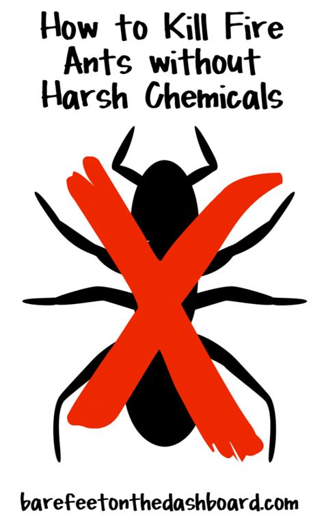 Kill Fire Ants, Ant Spray, Ant Repellent, Balcony Gardens, Ant Control, Kill Ants, Rid Of Ants, Get Rid Of Ants, Ant Killer