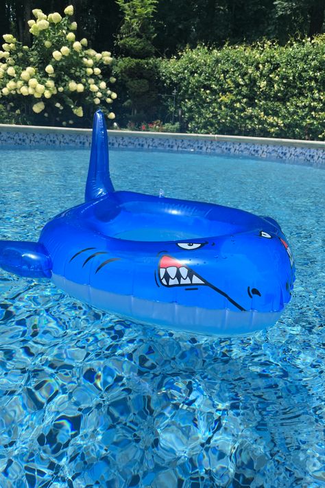 Shark Pool Party Ideas, Shark Float, Kids Pool Party Ideas, Shark Pool Party, Pool Games For Kids, Kids Pool Party, Inflatable Shark, Shark Pool, Pool Party Ideas