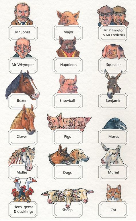 Who’s who? Animal Farm (Grades 9–1) Animal Farm Book, Animal Farm George Orwell, Hulk Character, Farm Books, Circus Characters, Farm Pictures, List Of Animals, Animal Farm, All About Animals