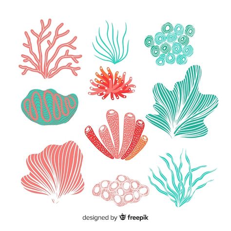 Coral Drawing, Under The Sea Background, Coral Collection, Coral Reef Art, Coral Art, Sea Life Art, Coral Design, Coral Pattern, Underwater Creatures