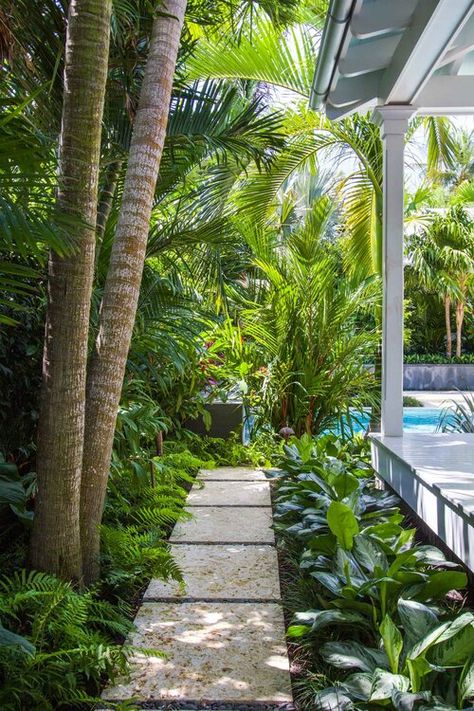 Tropical Hardscape, Tropical Park Design, Lily Pilly Landscape Design, Tropical Garden Pathways, Tropical Pathway, Landscape Villa, Lush Tropical Landscape, Royal Palm Tree Landscape, Small Tropical Gardens