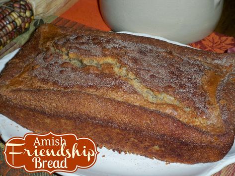 Amish Bread Starter, Amish Pie, Oreo Dirt Pudding, Amish Cinnamon Bread, Friendship Bread Starter, Southern Buttermilk Biscuits, Amish Bread, Cinnamon Bread Recipe, Amish Friendship Bread