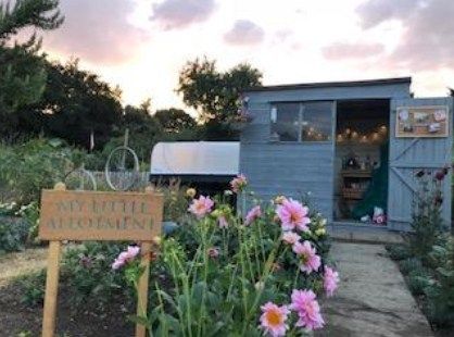 National Allotment Week 2018 | My Little Allotment's 7 Foolproof Allotment Plants Allotment Ideas Inspiration, Allotment Plan, Garden Dahlia, Allotment Shed, Mr Plant, Shed Garden, Shed Interior, Allotment Gardening, Blog Site