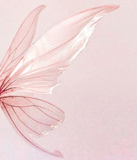 Pink Fairy Wings Aesthetic, Pink Wings Aesthetic, Grey And Pink Aesthetic, Pink And Grey Aesthetic, Aesthetic Pink Wallpaper Iphone, Fairy Wings Aesthetic, Wallpapers Pastel, Romeo I Julia, Pink Fairy Wings