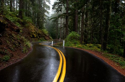 The Road I'm On by Michael White on 500px Beautiful Roads, Scenic Roads, Yellow Line, Winding Road, Back Road, Oh The Places Youll Go, Image Hd, Beautiful World, Beautiful Landscapes