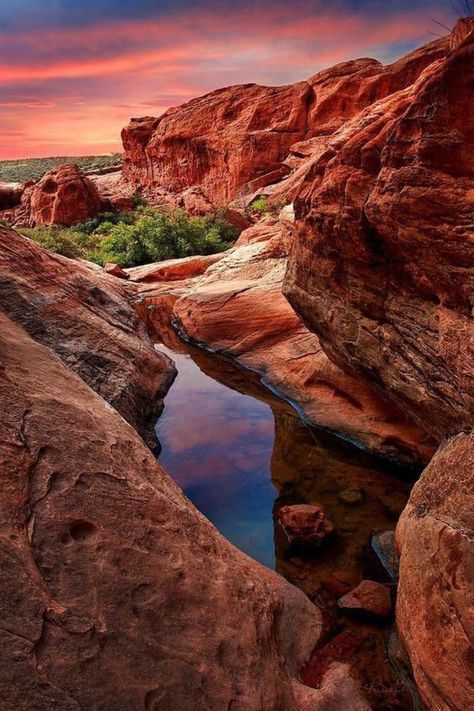 Red Rock Canyon | Las Vegas, Nevada Red Rock Canyon, Valley Of Fire, Vegas Trip, Red Rocks, Vegas Baby, Vegas Strip, Las Vegas Strip, Zion National Park, Desert Landscaping