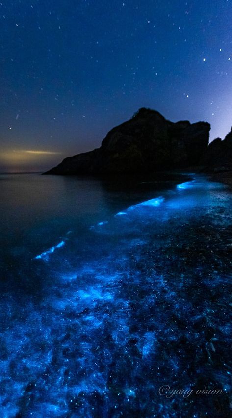 Bioluminescent Ocean Aesthetic, Bioilluminescent Beach, Bioluminescence Beach Aesthetic, Blue Glow Aesthetic, Bioluminescent Ocean, Bioluminescence Beach, Bioluminescence Aesthetic, Neon Ocean, Glowing Ocean