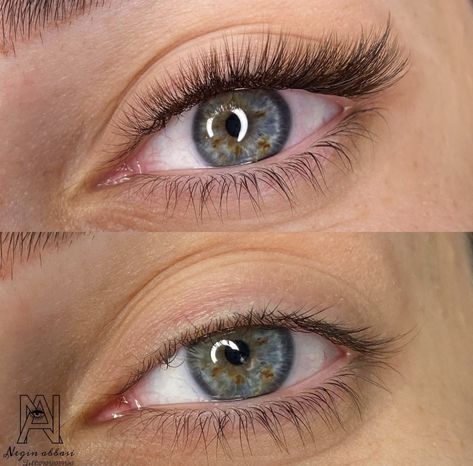 Lash Extension Fox Eye, Fox Lashes Extensions, Fox Wispy Lashes, Eyelash Extensions Fox Eye, Fox Lash Extensions, Fox Eye Eyelash Extensions, Fox Eyelash Extension, Squirrel Lash Extensions, One By One Lashes