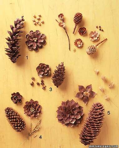 ft_nov05msl64_xl Pigne Ideas, Dekoratívne Vence, Pinecone Crafts, Pine Cone Art, Martha Stewart Crafts, Deco Nature, Pine Cone Decorations, Cones Crafts, Pine Cone Crafts