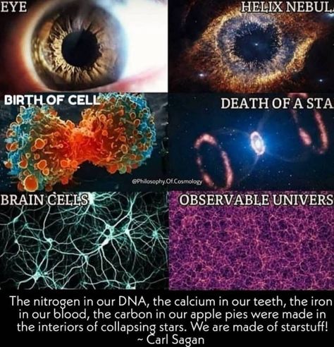 #Spirituality #Spiritual #SpiritualAwakening #Awakening #God #Source #Creator #Oneness #CollectiveConsciousness #UniversalConsciousness #DNA #CarlSagan #Awareness #Mindfulness #Universe #OneWorld #Collective #TheObservantOwl Theories About The Universe, Helix Nebula, Astronomy Facts, Cool Science Facts, Interesting Facts About World, Space Facts, Wow Facts, Cool Science, Space Stuff