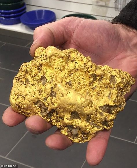 Natural Gold Nugget, Gold Bullion Bars, Logam Mulia, Gold Everything, Gold Prospecting, Golden Nugget, Gold Money, Charm Holder, Gold Bullion