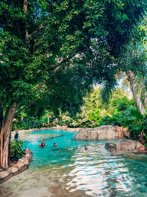 Orlando Florida Photography, Discovery Cove Aesthetic, Discovery Cove Orlando Pictures, Places To Go In Orlando Fl, Orlando Aquarium, Orlando Florida Aesthetic, Orlando Aesthetic, Florida Wallpaper, Discovery Cove Orlando