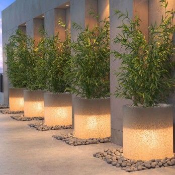 50 Green-Thumbed Gardening Ideas for Beginners and Pros Alike Illuminated Planters, Compound Design, Luxury Patio Furniture, Birthday Room, Garden Wall Designs, Room Decoration Ideas, Walled Garden, Backyard Lighting, Outdoor Gardens Design