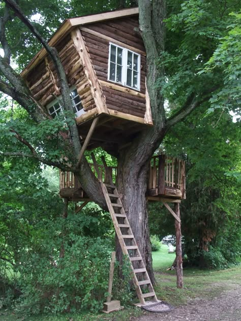 Backyard Tree House Aesthetic, Tree Topper Ideas, Como Plantar Pitaya, Fairy Tale House, Simple Tree House, Luxury Tree Houses, House For Kids, Decorating Christmas Tree, Beautiful Tree Houses