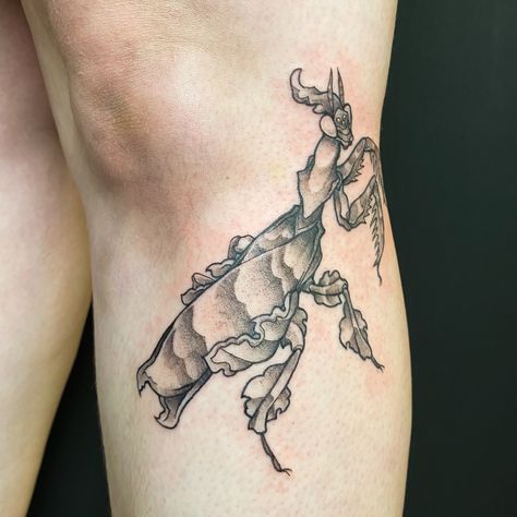 I was SO stoked to tattoo this ghost mantis from my flash! I am a huge mantis fan, and would love to tattoo more like this ❤️ • #tattoo#tattoos#tattoostudio#tattooshop#tattooartist#tattoodesign#tattooer#pnwtattoo#seattletattoo#tacomatattoo#olympiatattoo#tacomatattooartist#seattletattooartist#bugtattoo#mantis#mantid#mantistattoo Ghost Mantis, Praying Mantis Tattoo, Mantis Tattoo, Mantis Shrimp, Bug Tattoo, Matching Tattoo, Praying Mantis, Tattoo Studio, I Tattoo