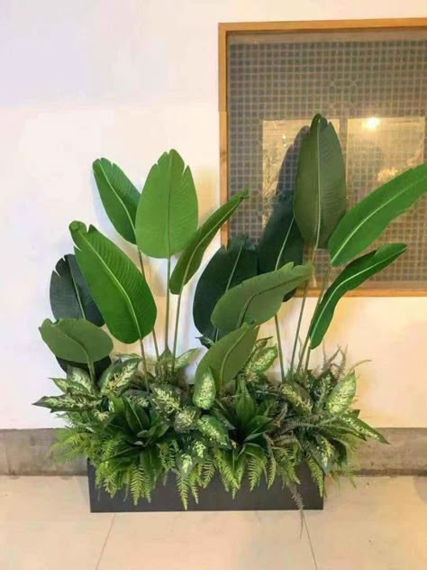 Bathroom Plants Decor, Tropical Garden Design, Garden Decor Projects, Mums Homecoming, Bathroom Plants, Plant Decor Indoor, 아파트 인테리어, Outdoor Gardens Design, Front Porch Decorating