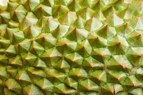 Premium Photo | Durian skin / close up of tropical fruit durian texture background Biomimicry Architecture, Business Fonts, Card Creative, Blue Backdrops, Tropical Fruits, Business Cards Creative, Texture Background, Wooden Background, Tropical Fruit